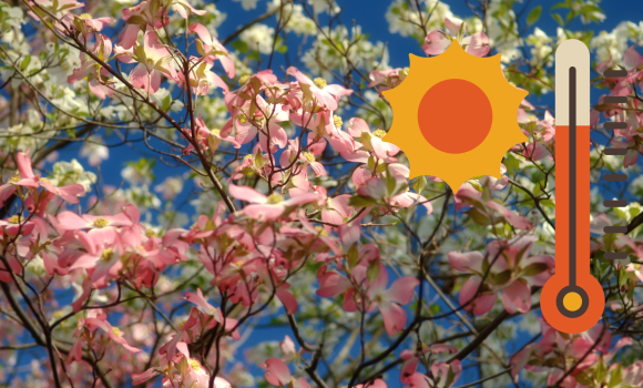 У Вінниці тиждень почнеться з 25-градусної спеки - прогноз погоди на 15 травня