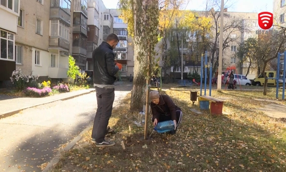 У Вінниці уповноваженим по будинках нагадали про необхідність турбуватись про дерева