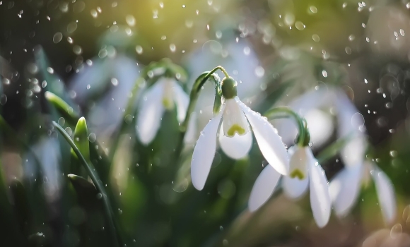 У Вінниці в неділю 26 березня обіцяють невеликий дощ