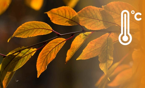 У Вінниці 16 листопада вдень - невеликий дощ і хмарно У Вінниці 16 листопада вдень - невеликий дощ і хмарно