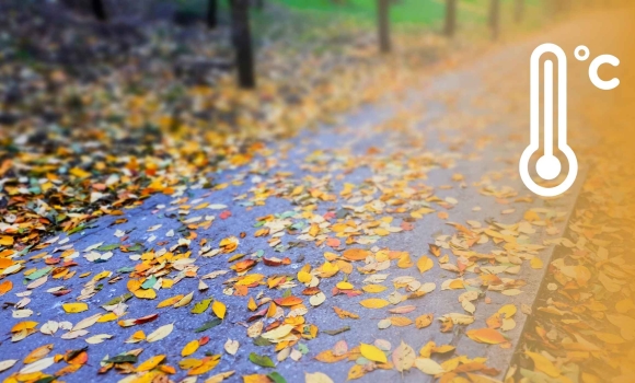 У Вінниці 22 листопада невеликий дощ, хмарно