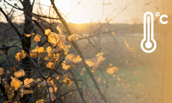 У Вінниці 25 листопада синоптики обіцяють вдень до шести градусів тепла У Вінниці 25 листопада синоптики обіцяють вдень до шести градусів тепла