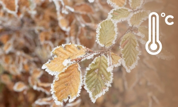 У Вінниці 3 грудня буде хмарно, без істотних опадів, вдень 5-7° тепла
