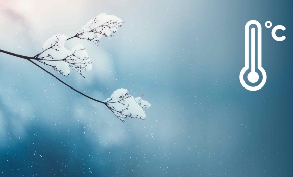 У Вінниці 3 лютого буде хмарно, очікують невеликий сніг