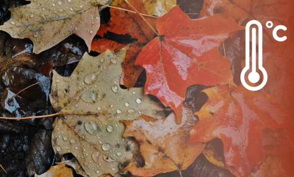 У Вінниці 4 грудня синоптики обіцяють невеликий дощ і хмарність