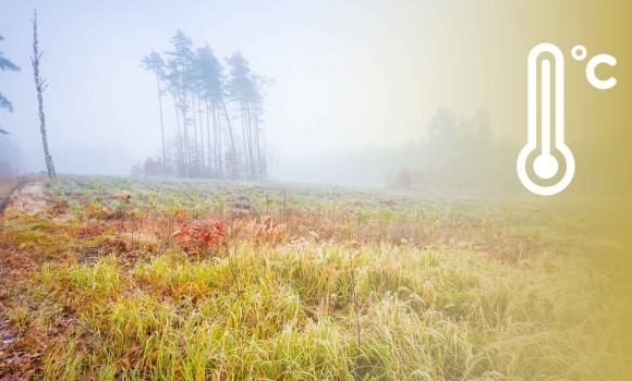 У Вінниці 9 грудня буде хмарно, без опадів, вдень 3-5° тепла