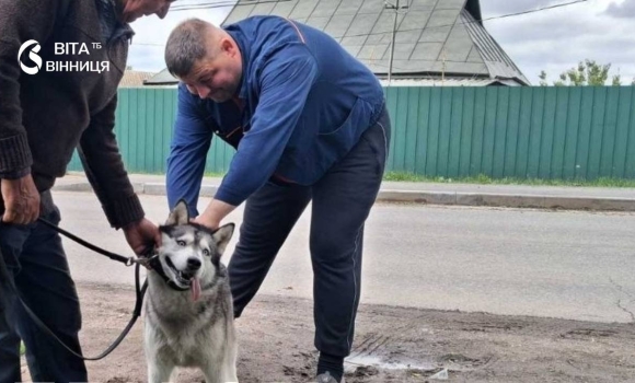 У Вінниці безкоштовно щепили понад 2240 котів та собак від сказу У Вінниці безкоштовно щепили понад 2240 котів та собак від сказу