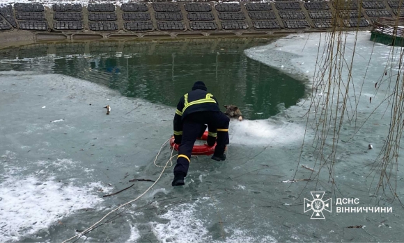 У Вінниці бійці ДСНС врятували собаку з крижаної пастки