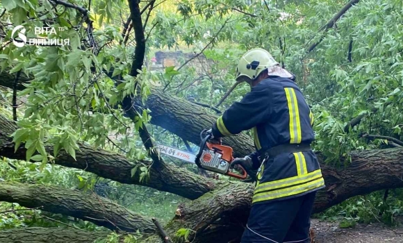 У Вінниці дерево впало на припарковане авто через сильний вітер У Вінниці дерево впало на припарковане авто через сильний вітер