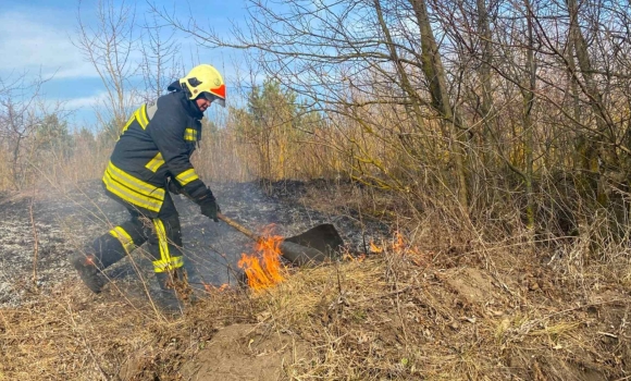 У Вінниці горілі екосистеми на площі у 57 гектарів