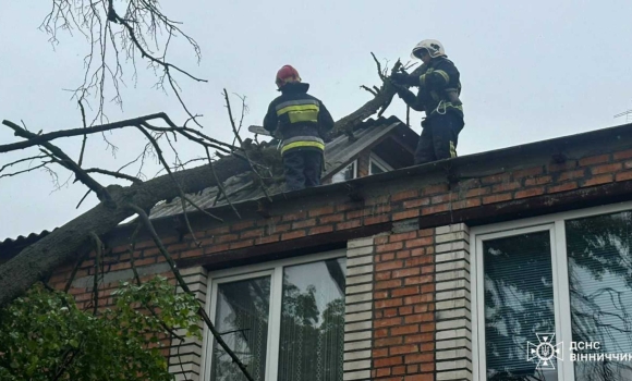 У Вінниці негода повалила дерева на двоповерхівку та проїжджу частину
