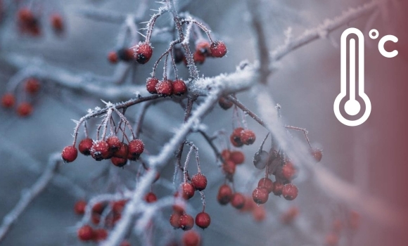 У Вінниці після 23 грудня вже вдарять сильні морози