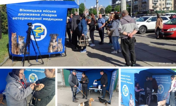 У Вінниці проводять кампанію з вакцинації домашніх тварин від сказу