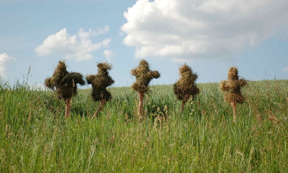 У Вінниці приймають заявки на участь у «Школі мистецтва довкілля»