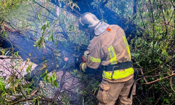 У Вінниці рятувальники звільнили проїжджу частину від поваленого дерева
