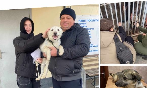 У Вінниці собаки з муніципального притулку знаходять нових господарів