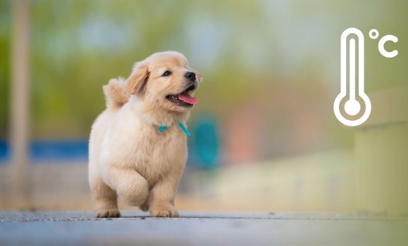 У Вінниці стане ще тепліше, а на сході України задощить і захмариться