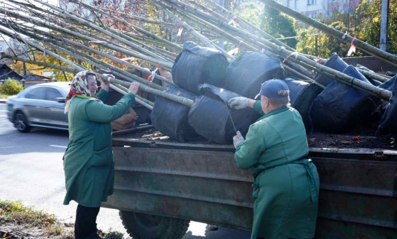 У Вінниці стартувала осіння висадка дерев та кущів - кленів, платанів, дубів і бірючини У Вінниці стартувала осіння висадка дерев та кущів - кленів, платанів, дубів і бірючини