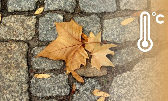 У Вінниці та області синоптики 28 листопада обіцяють перший мокрий сніг У Вінниці та області синоптики 28 листопада обіцяють перший мокрий сніг