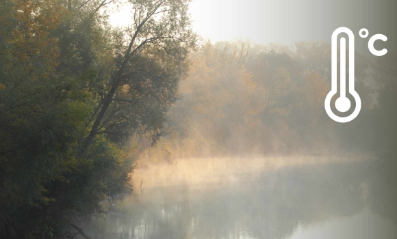 У Вінниці та області в останній день листопада синоптики обіцяють туман У Вінниці та області в останній день листопада синоптики обіцяють туман