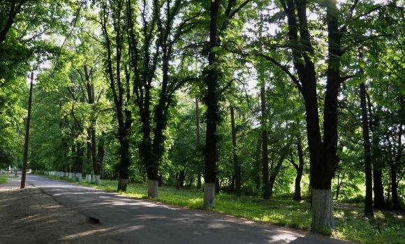 У Вінниці триває розвиток природно-заповідних територій в межах Зеленого курсу