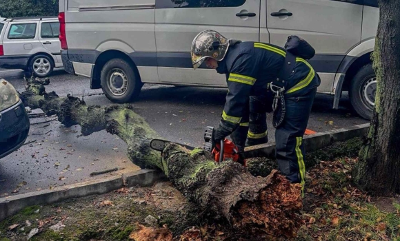 У Вінниці, Тульчинські та Іллінецькій громаді негода валила дерева