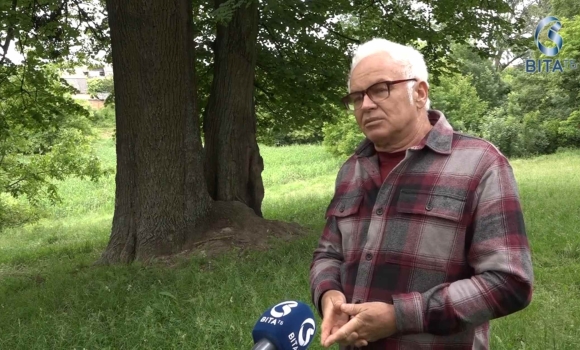 У Вінниці влаштували зустріч присвячену темі збереженню вікових дерев