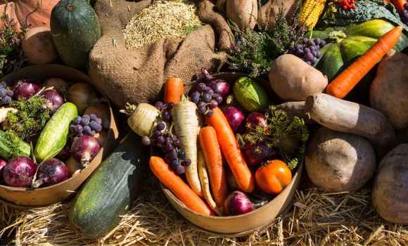У Вінниці влаштують виставку-ярмарок продукції підприємств харчової промисловості
