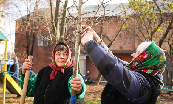 У Вінниці висадять пів тисячі дерев в рамках осінньої кампанії з озеленення У Вінниці висадять пів тисячі дерев в рамках осінньої кампанії з озеленення
