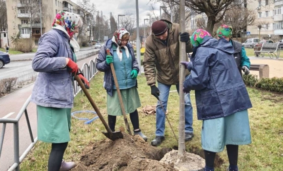 У Вінниці висадили тюльпанові дерева та пекінський бузок на проспекті Космонавтів