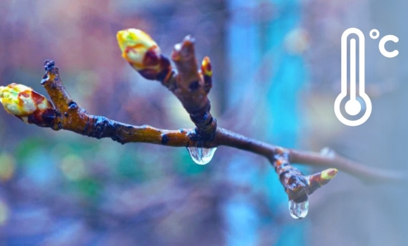 У Вінниці задощить, синоптики попереджають про мінливість погоди