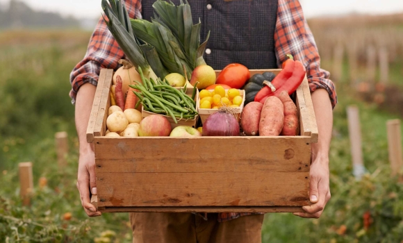 У Вінниці затвердили перелік аграріїв, що отримують фінансову допомогу