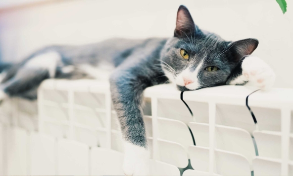 У Вінниці завершується процес запуску опалення в багатоповерхівки У Вінниці завершується процес запуску опалення в багатоповерхівки