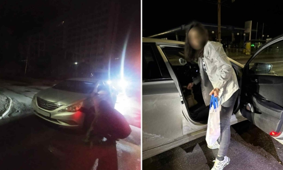 У Вінниці зупинили водійку з ознаками сп'яніння та без права керування