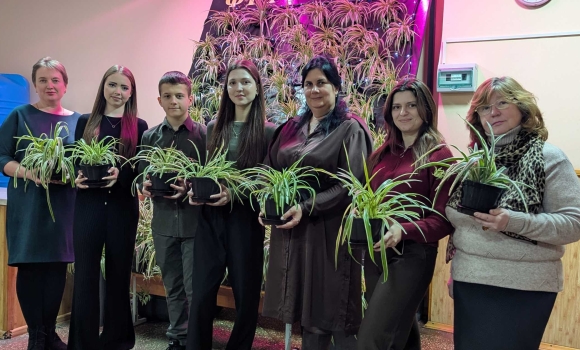 У вінницькому ліцеї №4 діти створили зелену стіну в їдальні