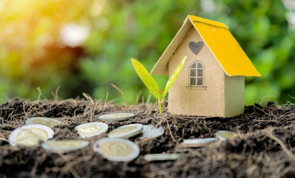 У Вінницькому районі фермер засіяв та зібрав врожай на чужій землі У Вінницькому районі фермер засіяв та зібрав врожай на чужій землі