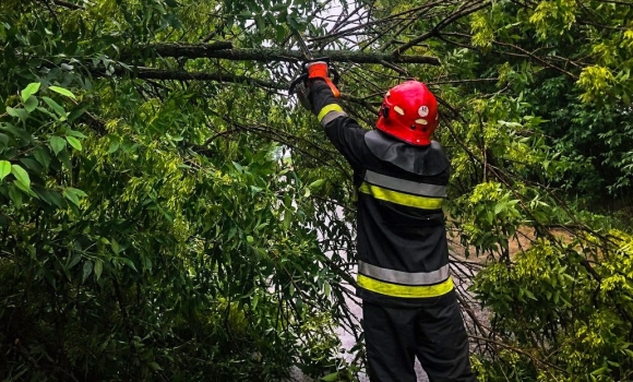 У Вінницькому районі рятувальники прибирали повалені вітром дерева