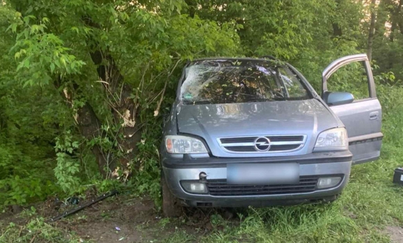 У Вінницькому районі в ДТП постраждала 23-річна пасажирка мінівена