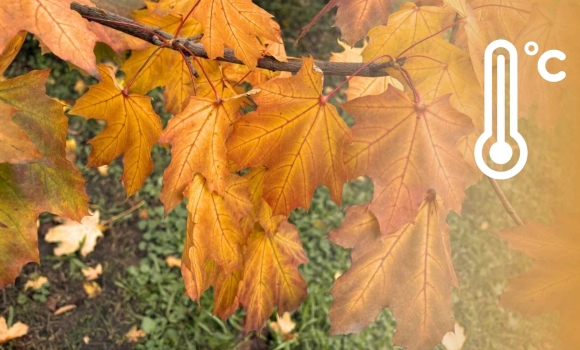 У Вінницю нарешті прийде помітне потепління, до 16 градусів тепла У Вінницю нарешті прийде помітне потепління, до 16 градусів тепла