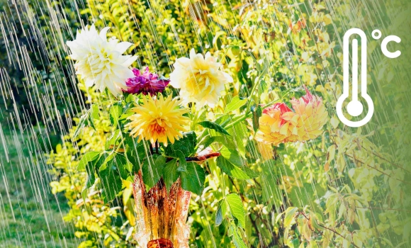 У Вінницю в неділю, 27 липня, дощі, грози та град