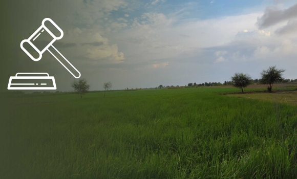 У власність держави повернули 203 гектари дослідницьких земель в Іллінецькій громаді У власність держави повернули 203 гектари дослідницьких земель в Іллінецькій громаді