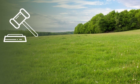 У власність Ямпільської громади повертають 44 гектари історико-культурних земель