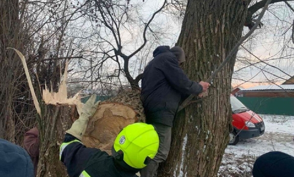У Вороновицькій громаді ногу чоловіка затисло між стовбурами дерева