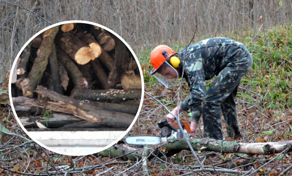 У Жмеринському районі екологічні інспектори спіймали "чорних" лісорубів