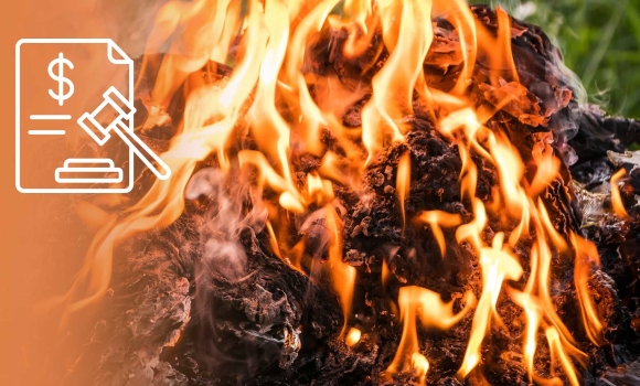 У Жмеринському районі склали сім адмінматеріалів на паліїв сміття