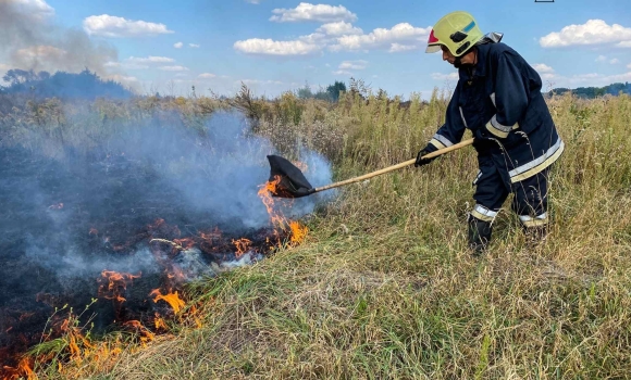 У Жмеринському районі вогонь обпалив майже три гектари землі