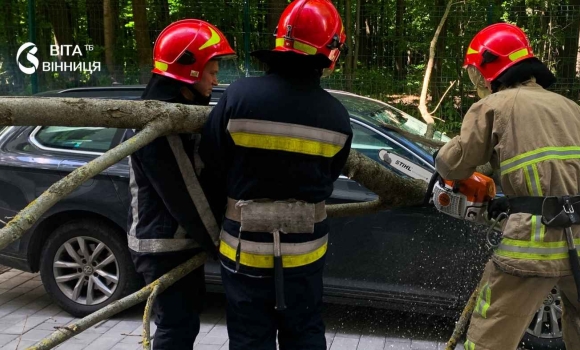 Удар стихії у Вінниці дерево розтрощило автомобіль, а вітер ледь не зірвав дах