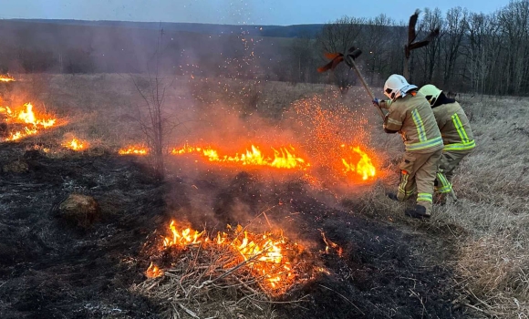 В Гайсинському районі вогонь обпалив майже 17 гектарів землі