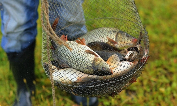 В Немирівській громаді рибалка-браконьєр завдав збитків на понад 21 тис. грн
