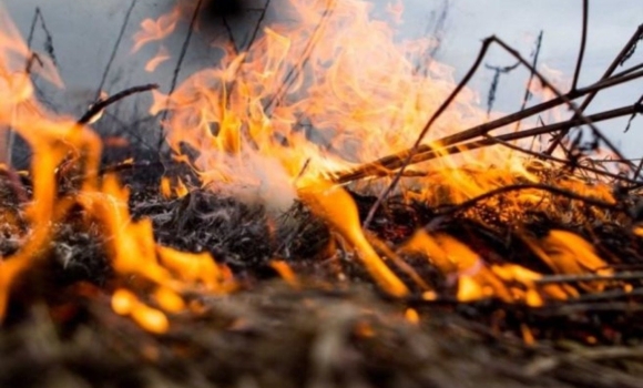 В Оратові через пожежу в господарчій будівлі згоріло два центнери соломи 